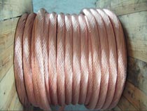 �~�g��(xi��n)